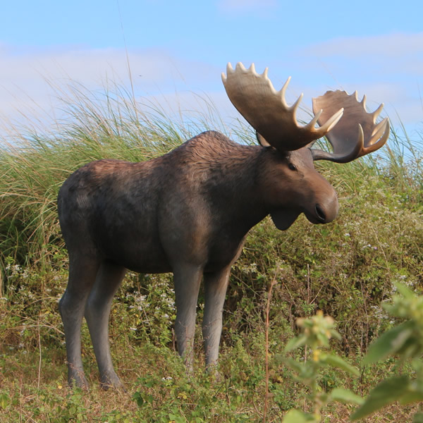 動物 オブジェ ムース インテリア イベント ディスプレイ Moose