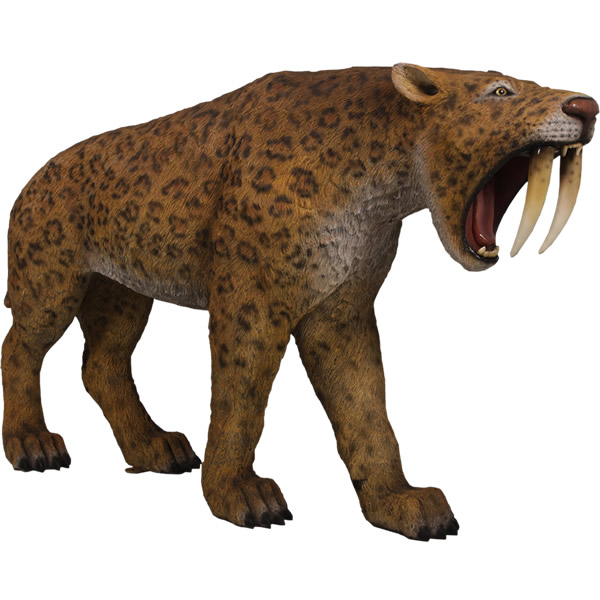 動物 オブジェ サーベルタイガー インテリア イベント ディスプレイ Smilodon - Saber-toothed Cat｜Gracious