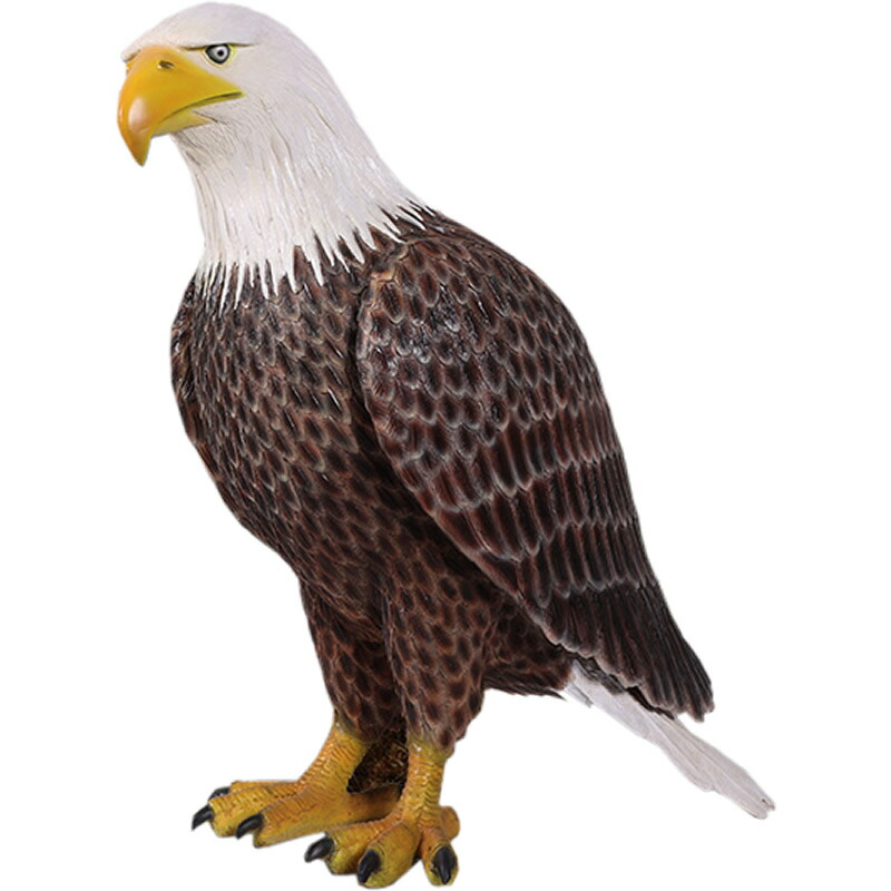 毛の荒物 オブジェ 大きなハクトウワシ・アメリカン鷲 室内装飾 でき事 見せびらかす American Bald Eagle