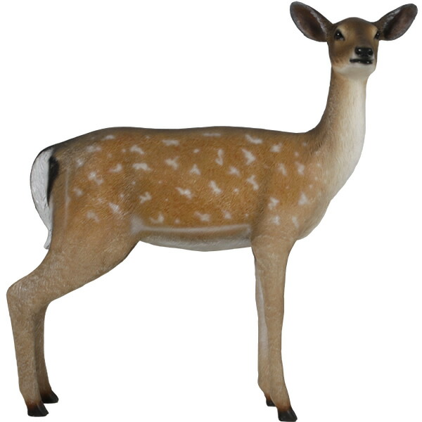 毛の荒物 オブジェ 雌のファロー鹿 室内装飾 でき事 見せびらかす Fallow Deer Doe