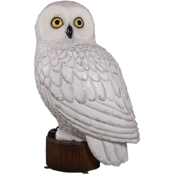動物 オブジェ シロフクロウ インテリア イベント ディスプレイ Snowy Owl｜Gracious