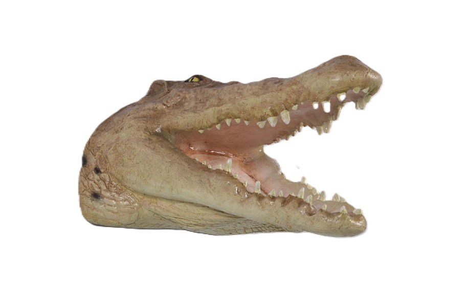 毛の荒物 オブジェ クロコダイルの天々 飾りつけ ブロンズ 室内装飾 でき事 見せびらかす Crocodile Head Wall Decor
