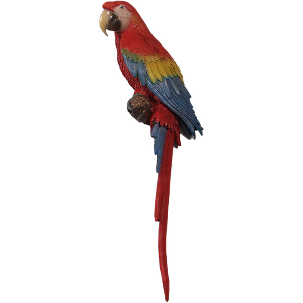 毛の荒物 オブジェ コンゴウインコ 室内装飾 でき事 見せびらかす Scarlet Macaw 100糎