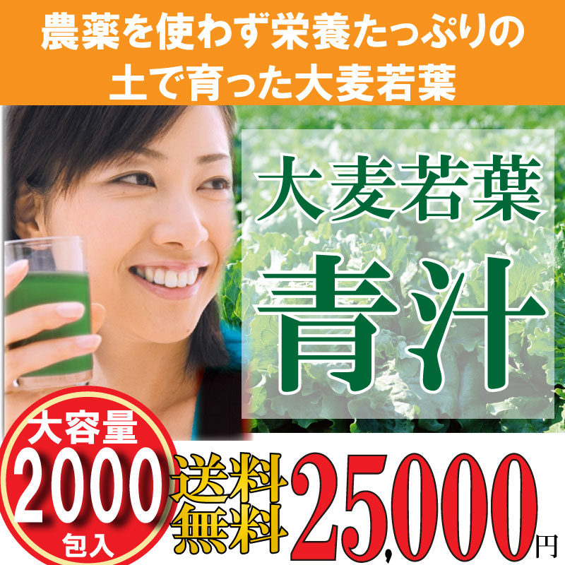 15250円 円高還元 大麦若葉 青汁 3g×2000袋入 緑黄色野菜を簡単摂取