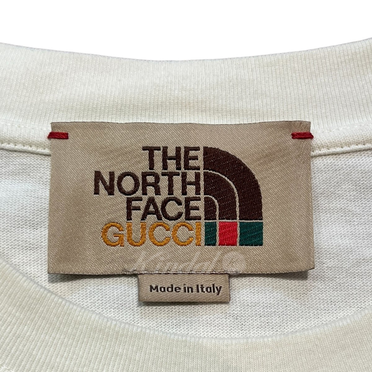 柔らかな質感の Gucci x The North Face ロゴ オーバーサイズ Tシャツ