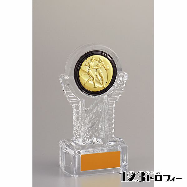 ゴルフコンペや各種スポーツ大会に優勝カップ 賞品 景品 フリーセレクション表彰楯 表彰盾 Agg6 ホビー Ycz 2939b 高さ196mm フリーセレクション表彰楯 表彰盾 Agg6 記念品と表彰用品の123トロフィー