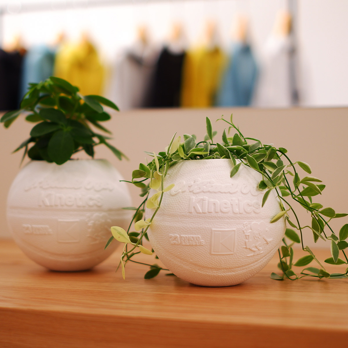 楽天市場】Backside works.×BOTANIZE 2020AW Pot バックサイド