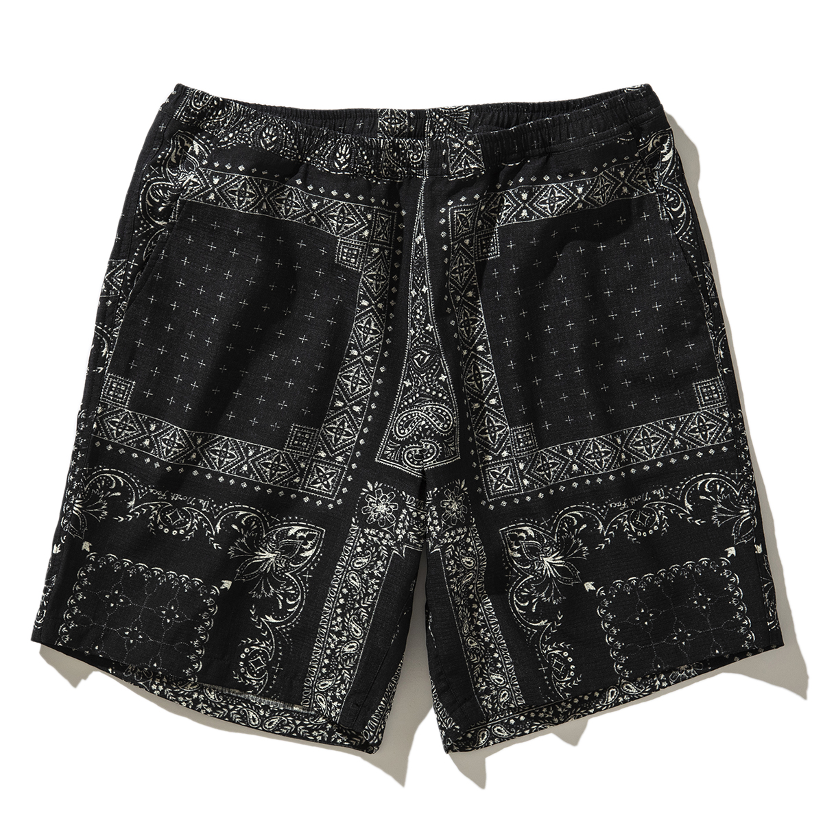 楽天市場】【10%OFF】SANDINISTA Easy Painter Shorts(BLACK