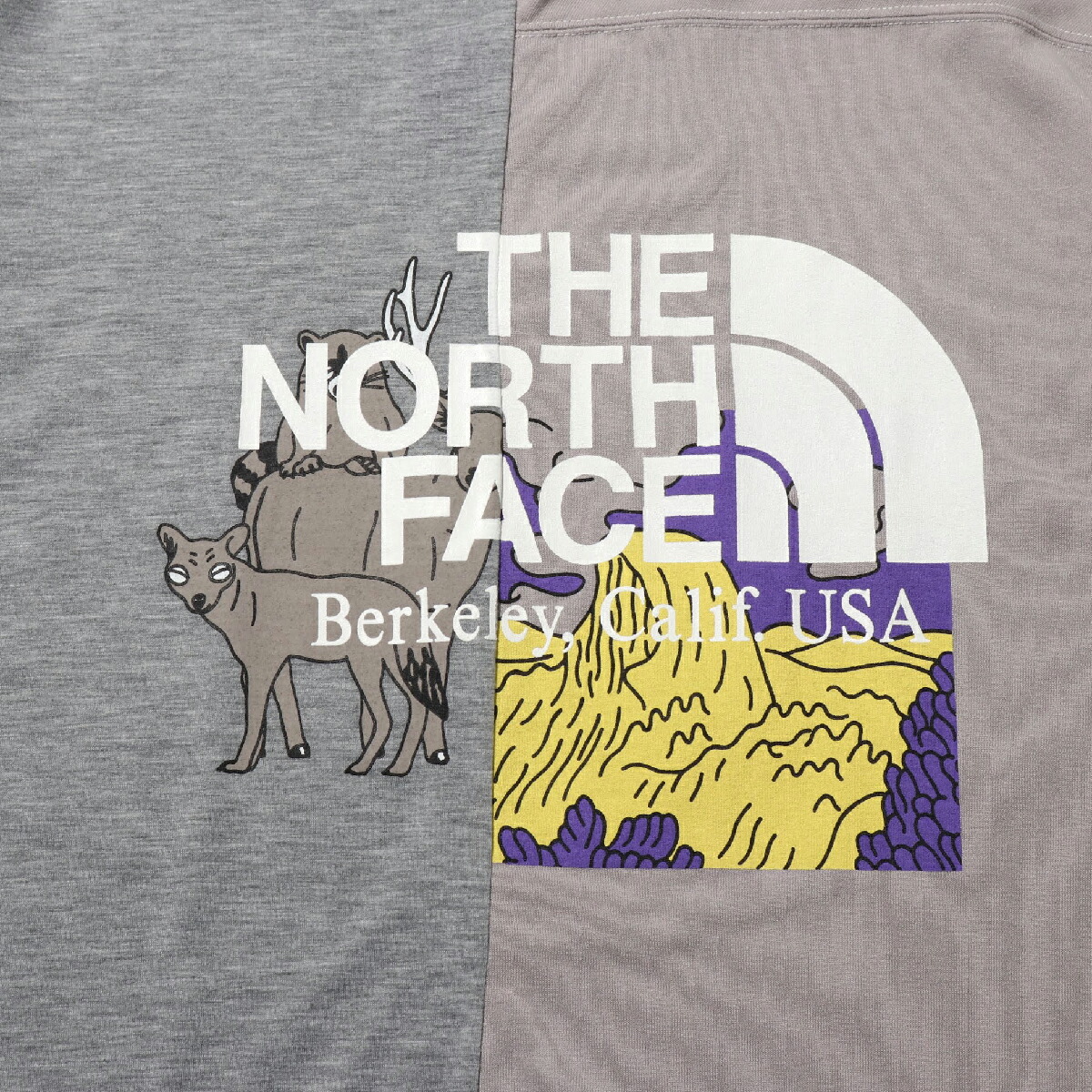 the north face donkey t shirt