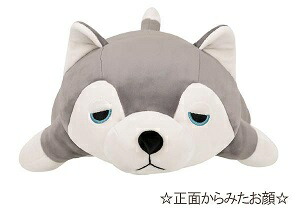 クーポン最大600円off あす楽 送料無料 プレミアムねむねむアニマルズ 抱きまくら mサイズ ハスキー犬のミント ねむねむ 抱き枕 ハスキー ミント りぶはあと 正規品 ぬいぐるみ キングベア楽天市場店