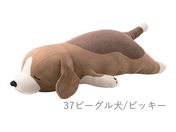 楽天市場】【クーポン最大550円OFF!】あす楽!!【送料無料】プレミアム