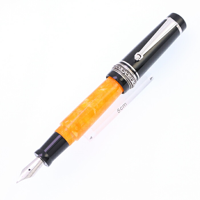 Delta限定版スケルトン、Demonstrator、万年筆、メディアペン先( ds81306?) DELTA デルタ 限定万年筆 ドルチェビータ デモンストレーター スケルトンボディ （透明軸⁄限定⁄吸入式⁄イタリア⁄14金） |  ナガサワ文具センター