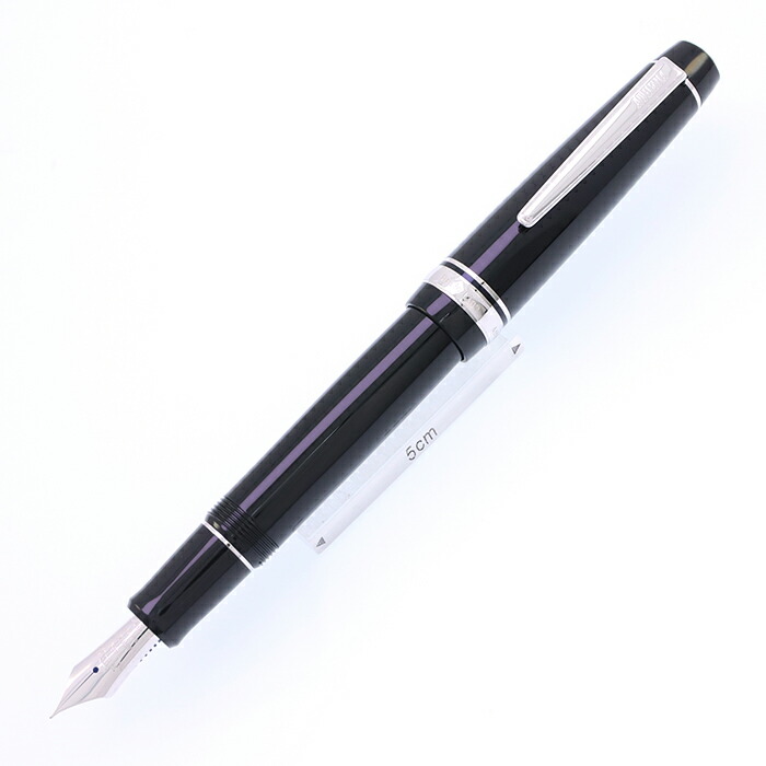 【新品未使用】MARUZEN 120 万年筆 黒 詳細ページ | 万年筆 ボールペンなど高級筆記具の販売・買取