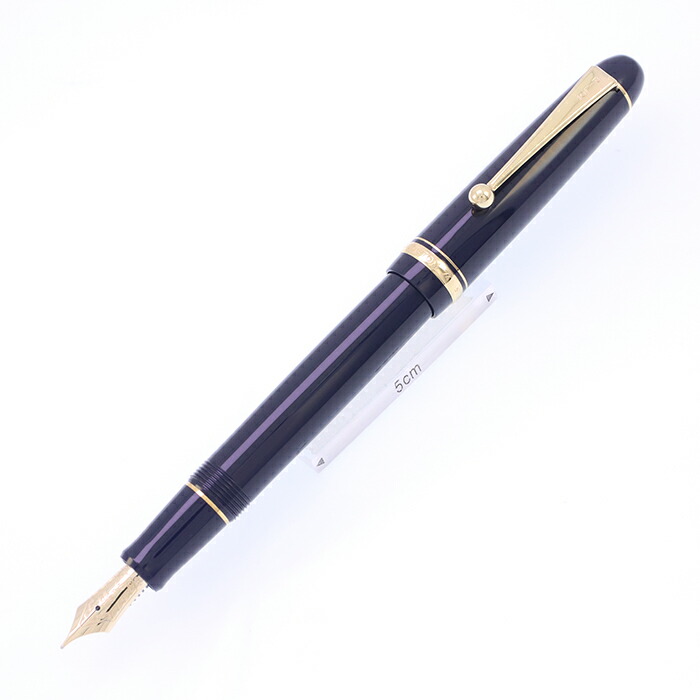 ‼️本日限定値下げ‼️PILOT万年筆　非売品　新品未使用品 未使用】PILOT 万年筆 株主限定
