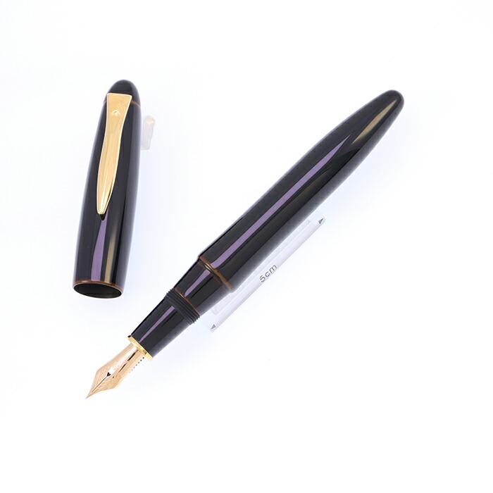 美品）プラチナ万年筆　出雲　黒柿　中字 3717021347157_1.jpg