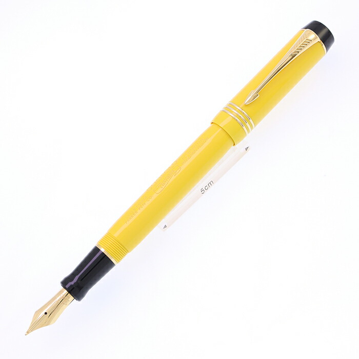 楽天市場】PARKER パーカー 万年筆 デュオフォールド ジェード