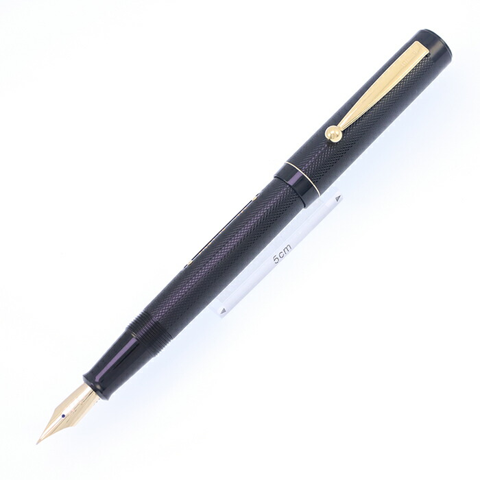 廃盤 PILOT パイロット Myu ミュー 万年筆 F H372 ペン先一体型 メーカー公式ショップ】 廃盤 PILOT パイロット Myu ミュー