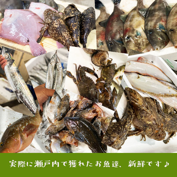 楽天市場 新鮮 国産 瀬戸内舌平目の煮付け1尾 普通サイズ シタビラメ 舌平目 魚 本格的 料亭の味 惣菜 おかず 一品料理 和食 キット 保存食 シーフード お取り寄せ 簡単 おつまみ 酒の肴 冷凍食品 お魚生活すすめ隊 お魚生活すすめ隊