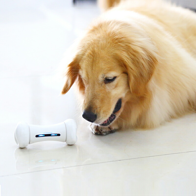 楽天市場 送料無料 Wicked Bone ウィキッドボーン 動く骨 ペット 犬猫 電子おもちゃ 充電 Bluetooth ブルートゥース アプリ対応 スマホ操作 キングバックヤード