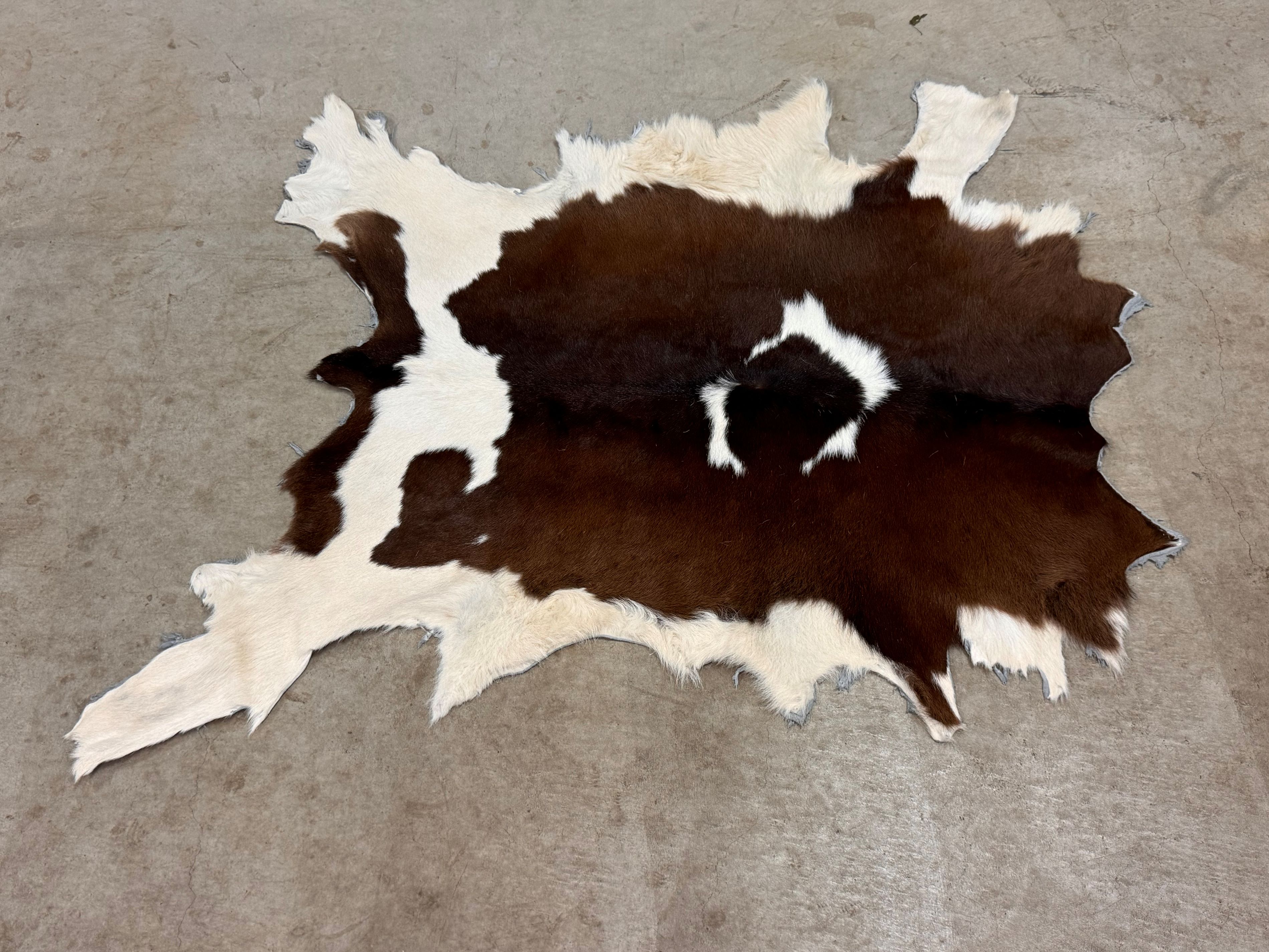 楽天市場】スプリングボック 敷物 約 135×81 cm 剥製 革 アニマル ラグ