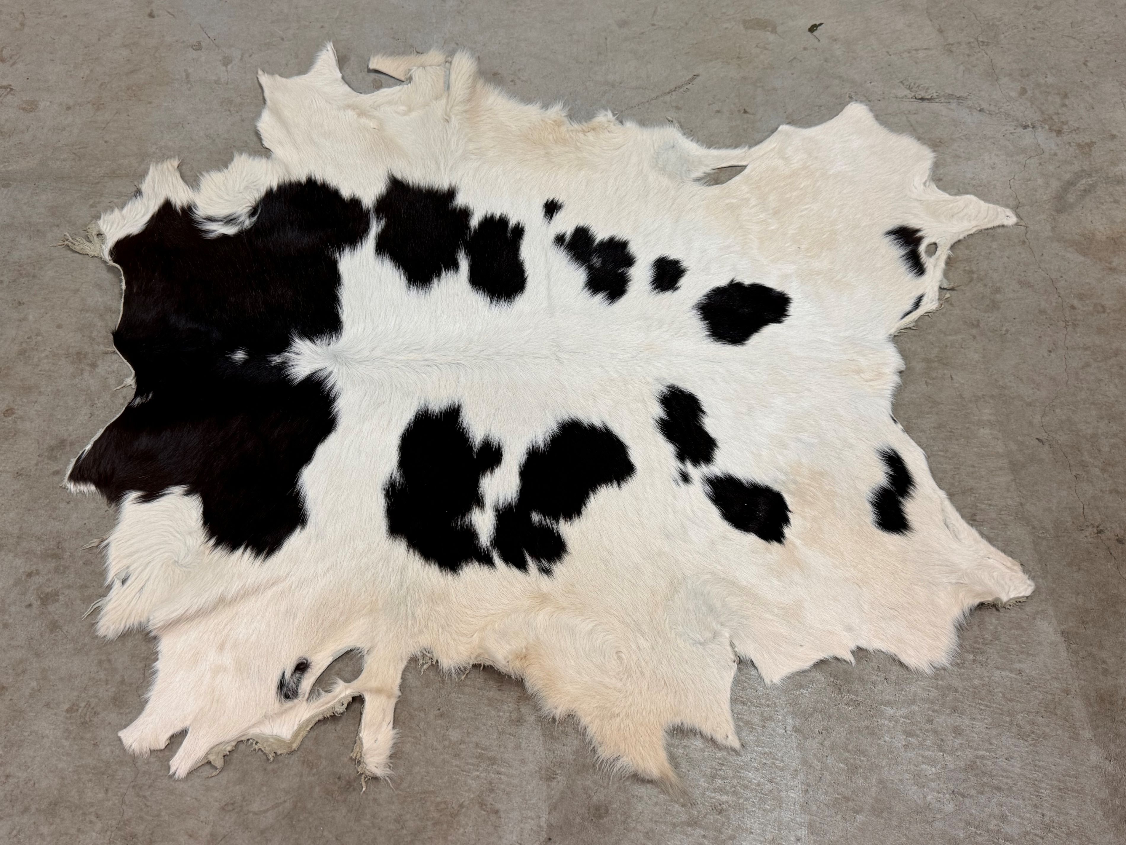 特大! ビンテージ 本革 カウラグ レザー ラグ 特大! ビンテージ 本革 カウラグ レザー ラグ 特大! ビンテージ 本革