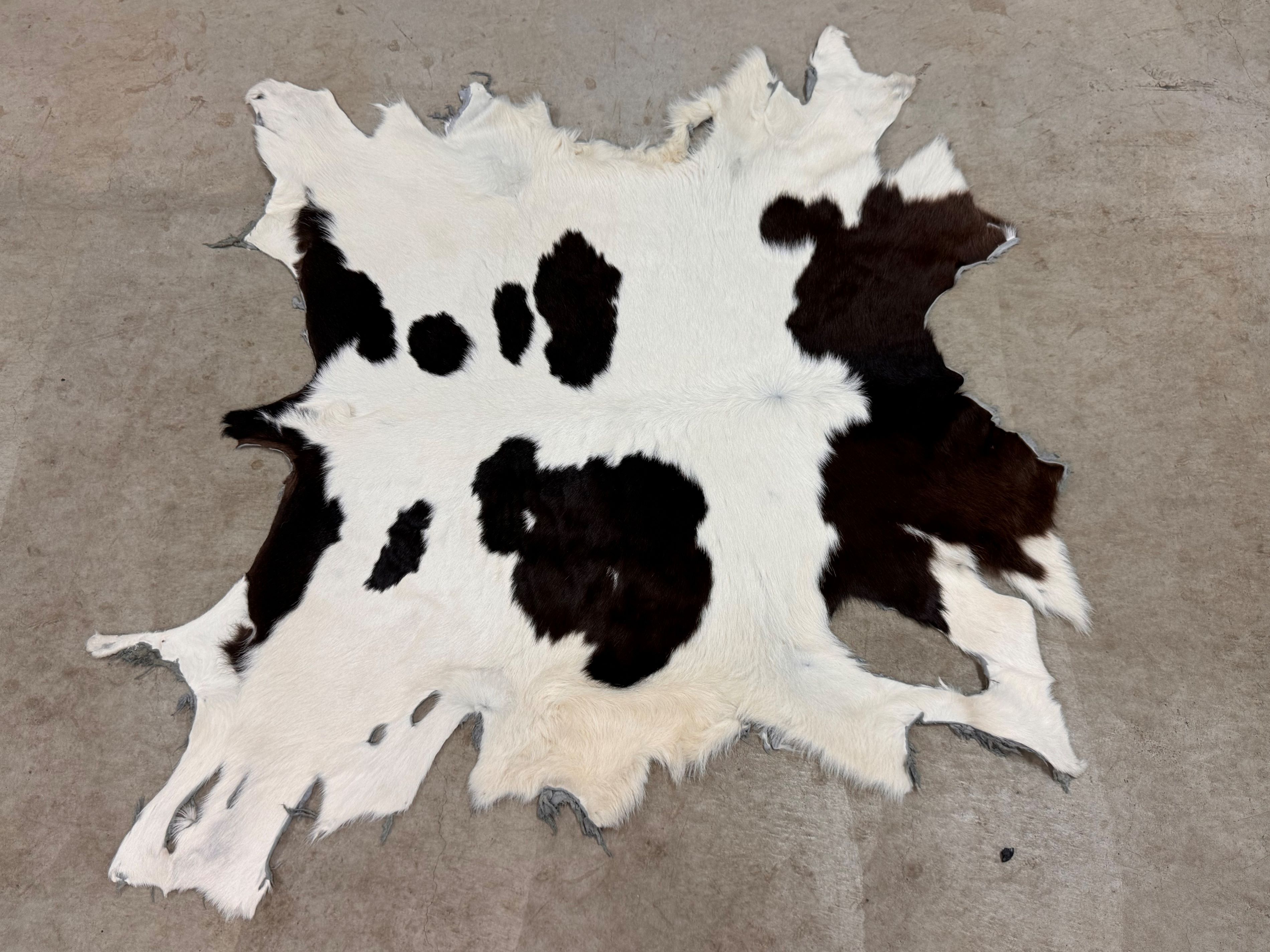 【新品】南アフリカ産　天然毛皮　ラグ　スプリングボック 新品】南アフリカ産 天然毛皮 ラグ スプリングボック