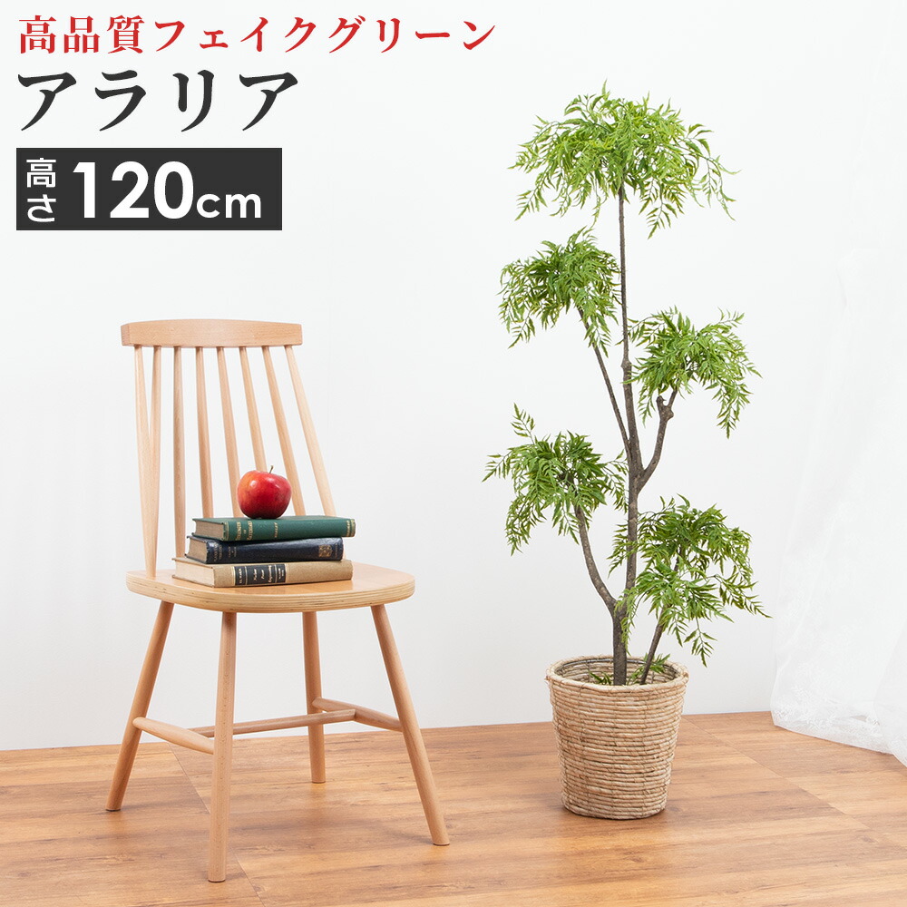 人工観葉植物 中型 フェイクグリーン 大型 人工 観葉植物 アラリア 6号サイズ 鉢カバー セット インテリア 雑貨 リビング 玄関 枯れない 衛生的  ロビー テラス お店 オフィス 医院 飲食店 サロン テレワーク 癒し アーティフィシャルフラワー プレゼント ギフト おしゃれ ...