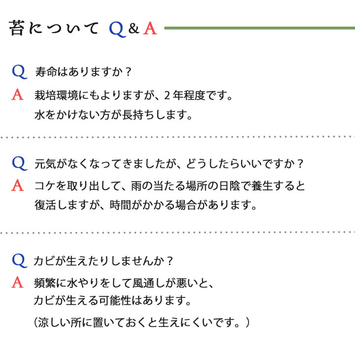 コケ テラリウム 家什 盆栽 草木 見附き賞用 余暇活動 こけ こけ モス 苔リウム ヤマゴケ スカンジナビアモス 北欧 癒しグッズ グリーン ウォールグリーン グリーンウォール 着生植物 パノラマ 現行 差し上物 生れ一日 いなせ テレワーク Chspandc Org Au