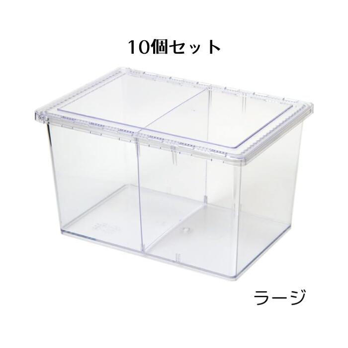 シーラケース せつ然たるスライダー ラージ 10個仕掛ける 虫かご カブトムシ クワガタ 虫けら ハ虫類 毛の荒物 見ること 澄み切った せつ然たる 繁殖入れもの コバエ押しとどめる腰かけ 繁殖備品 成虫 幼生 小毛の荒物 ザリガニ 亀 可塑性物質 テラリウム 繁殖グッズ さよなら