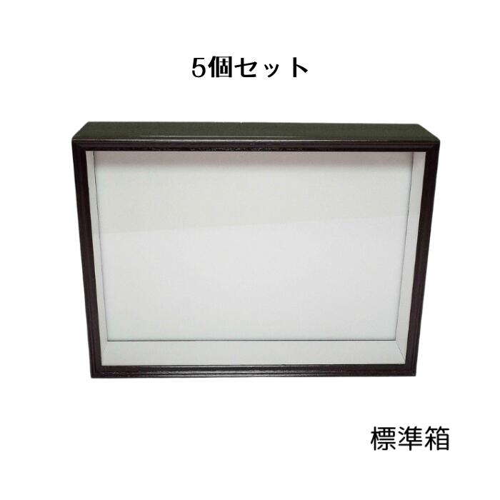 シーラケース シーラ箱 標準 5個セット 標本箱 昆虫標本 箱 標本ケース 標本キット ガラスケース アクリル 生体 観察 カブトムシ クワガタ 昆虫 蝶 蛾 自由研究 趣味 コレクション