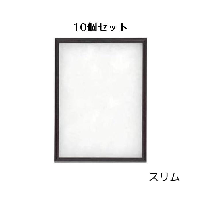 シーラケース シーラ箱 スリム 10個セット 標本箱 昆虫標本 箱 標本ケース 標本キット ガラスケース アクリル 生体 観察 カブトムシ クワガタ 昆虫 蝶 蛾 自由研究 趣味 コレクション