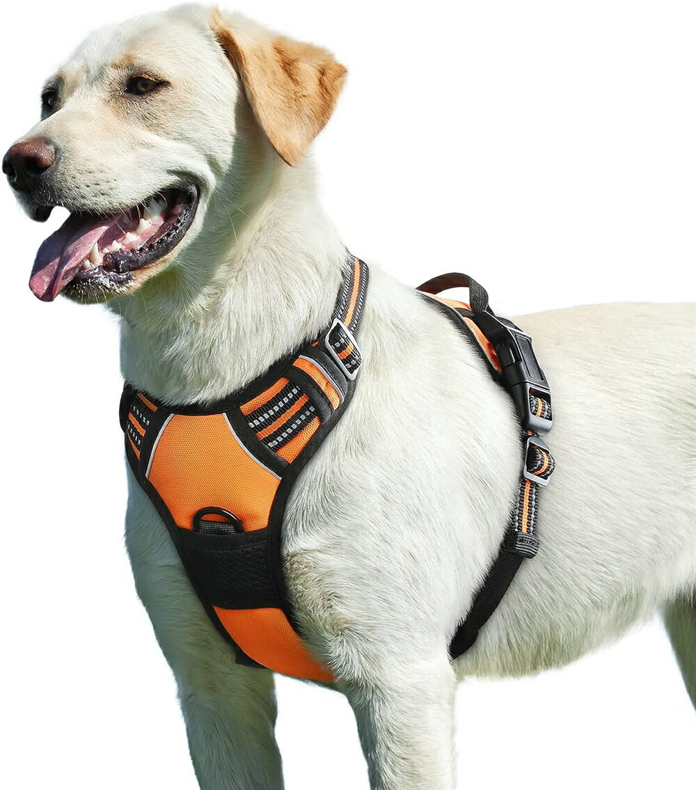 bag付きハーネス 楽天市場】【最大1000円オフクーポンあり】RUFFWEAR ラフウェア
