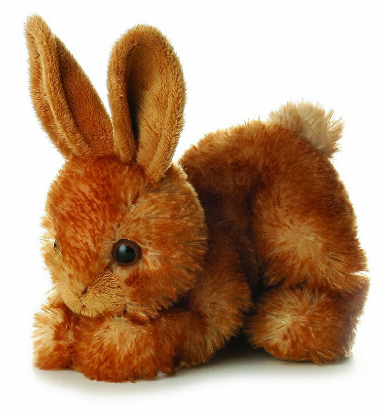 楽天市場】【ポイント2倍】ぬいぐるみ キタキツネ 8インチ Foxie