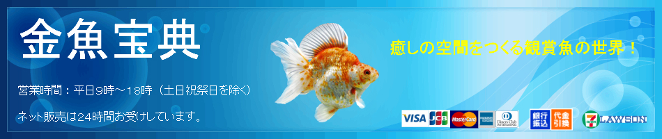楽天市場 高級金魚の取扱店です 金魚宝典 トップページ 楽天市場 高級金魚の取扱店です 金魚宝典 トップページ