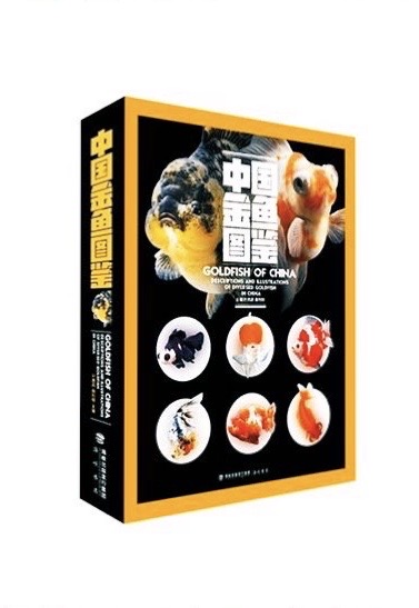【金魚ハウツー物】中国金魚図鑑