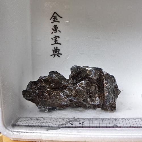 楽天市場 金魚宝典 昇竜石 13cm 天然石です 金魚宝典