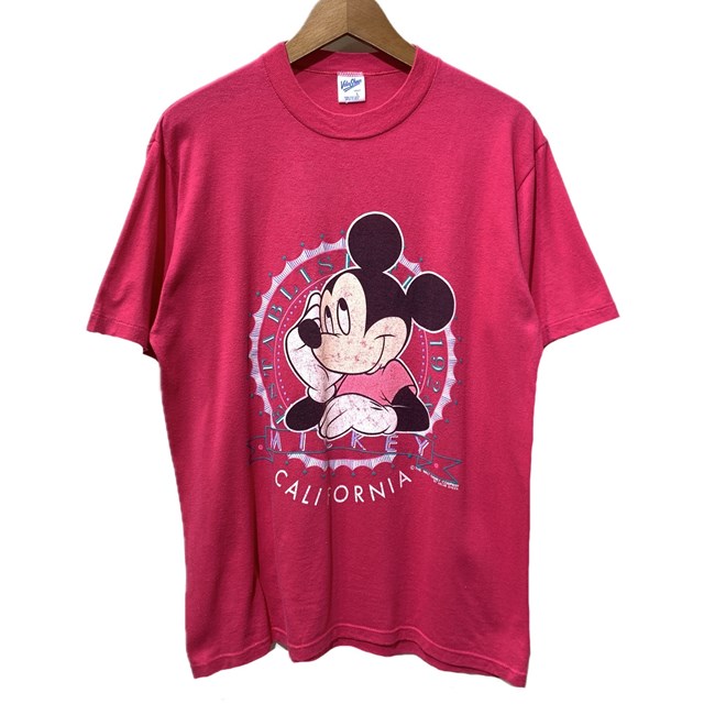 USA製 90s Disney シンデレラ城　tシャツ USA製 90s Disney シンデレラ城 tシャツ