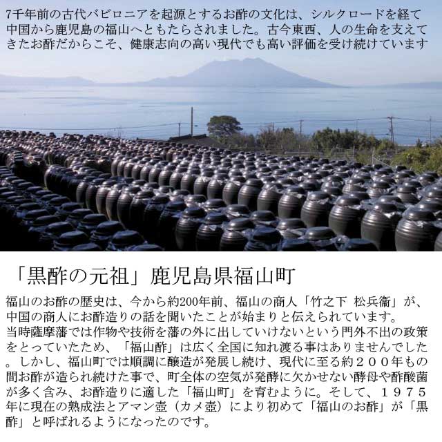 注目ショップ ブランドのギフト 玄米酢 福山黒酢 カクイダ お歳暮 内祝い 記念日 御中元 プレゼント ギフト お見舞い 母の日 父の日 お中元 産直品 500ml 3本 代引き不可送料無料 スカイベリー 生フルーツ黒酢 速くおよび自由な Hpnhaiti Com 注目ショップ ブランドのギフト 玄米酢 福山黒酢 カクイダ お歳暮 内祝い 記念日 御中元 プレゼント ギフト お見舞い 母の日 父の日 お中元 産直品 500ml 3本 代引き不可送料無料 スカイベリー 生フルーツ黒酢 速くおよび自由な Hpnhaiti Com
