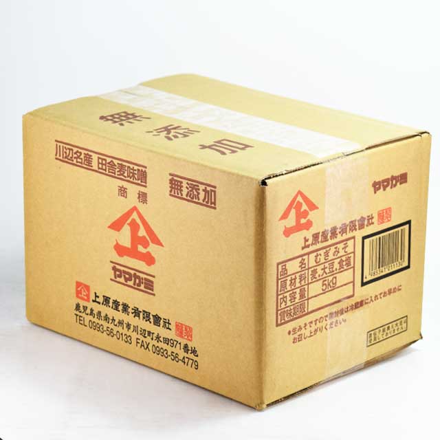 男女兼用 鹿児島南九州市 1000ml×6本 ヤマガミ醤油 上原産業 さしみ醤油