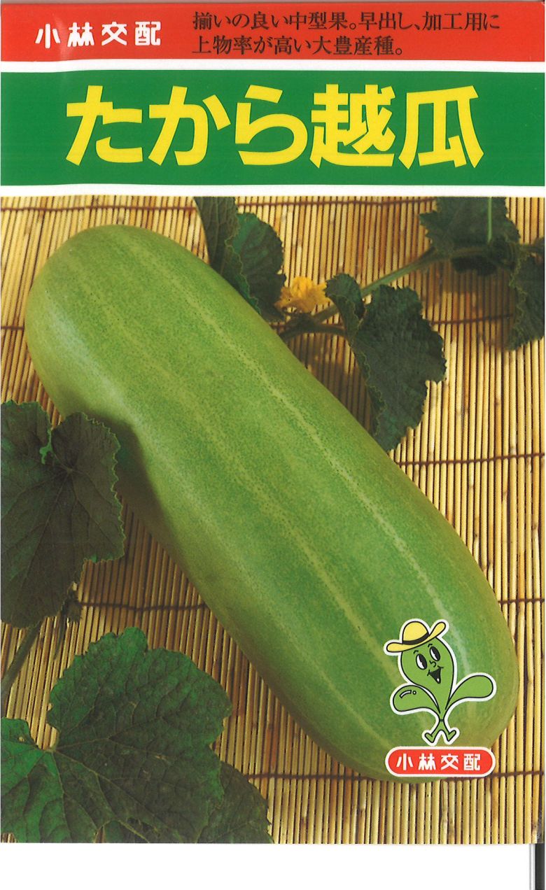 楽天市場】徳島県産 はやと瓜 （ハヤトウリ・隼人瓜） 秀品 12〜16個入