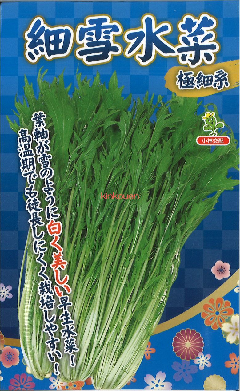 楽天市場】【代引不可】【送料5袋まで80円】 □太茎千筋京水菜