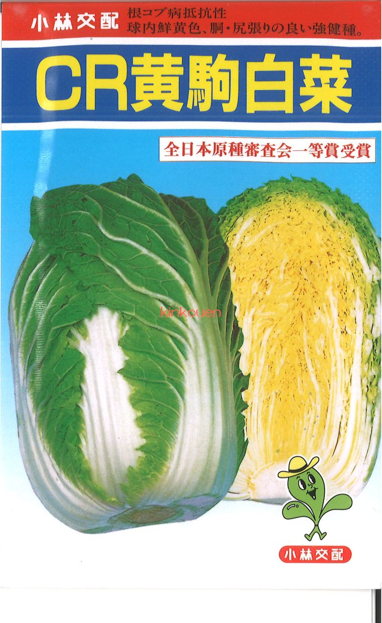 はくさい。購入しないでください。 楽天市場】白菜〈ハクサイ〉1個、2.5Kg〜3.8Kg前後 : 【築地通販