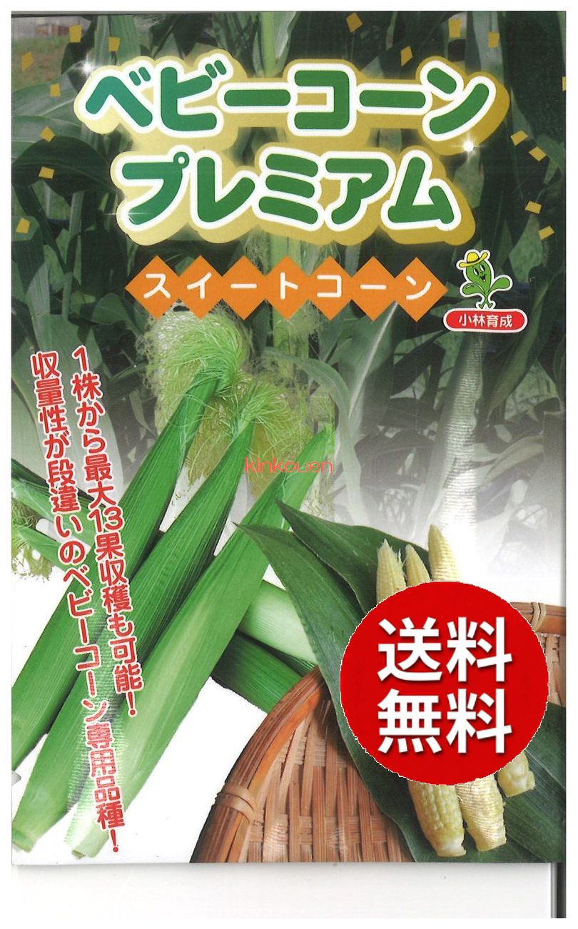 コーン粒さま専用ページ 楽天市場】【 ベビーコーンプレミアム 】 トウモロコシ 種