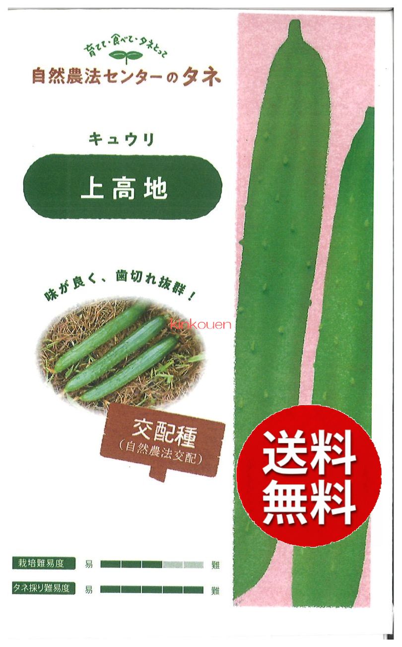 楽天市場】【キュウリ】うぐいすキュウリ〔ときわ交配〕/小袋（10粒
