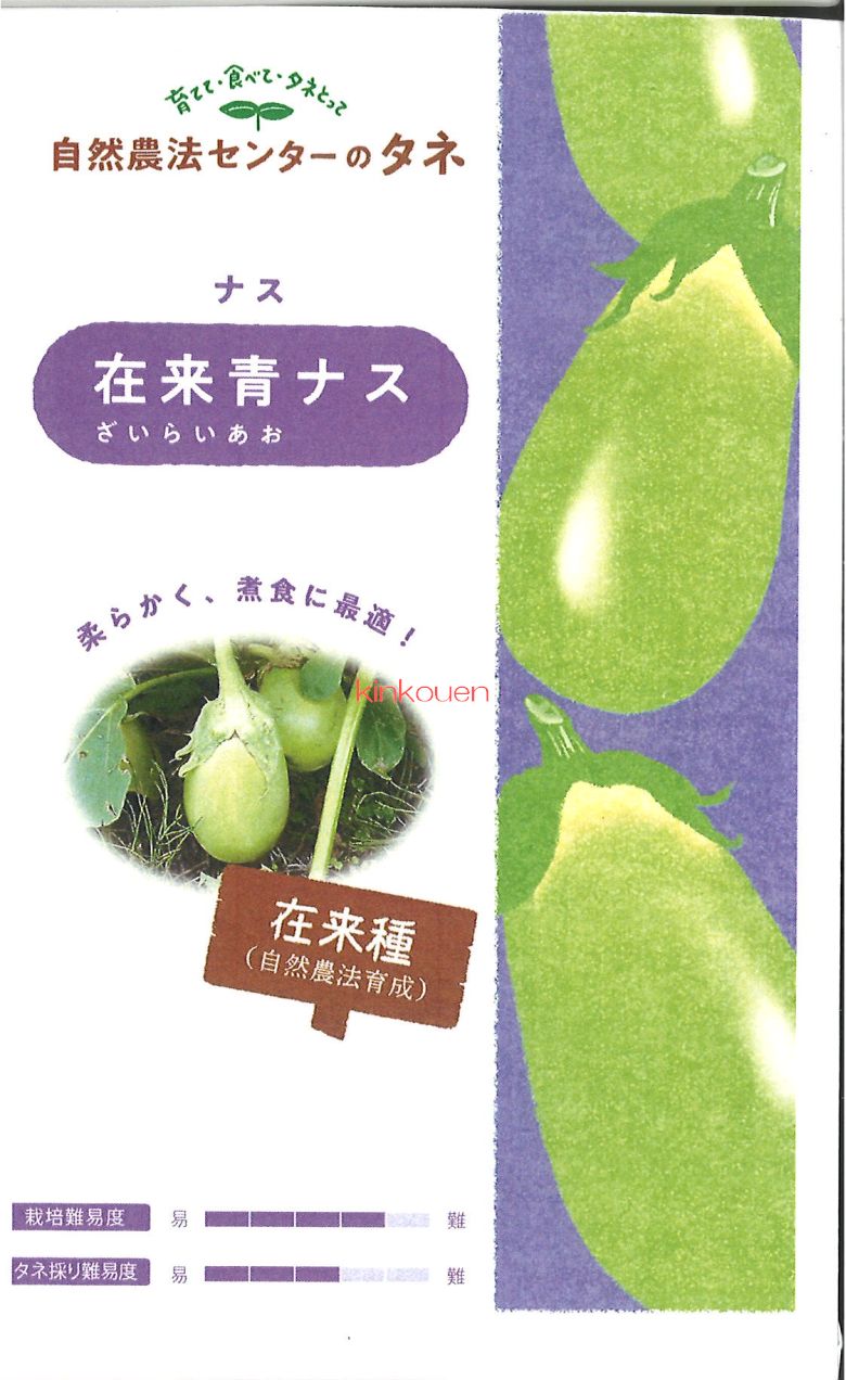 楽天市場】【代引不可】【送料5袋まで80円】 seed たね tane 種