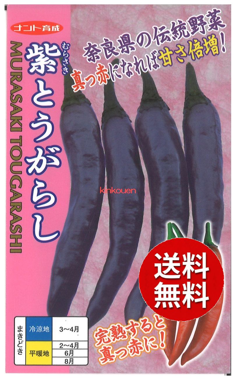 楽天市場】【造花・夏】赤とうがらし・青とうがらし / トウガラシ