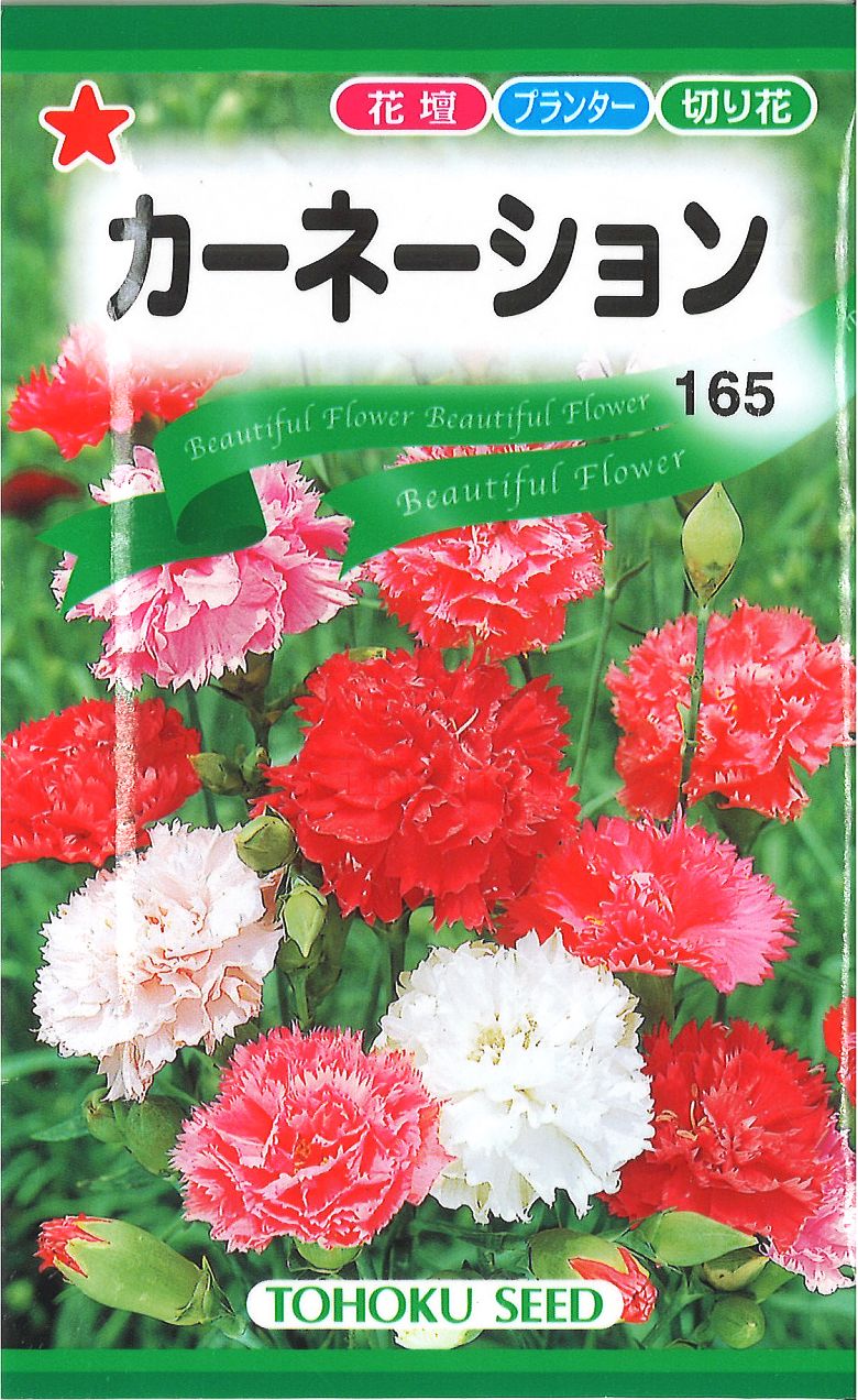 楽天市場 種子 カーネーショントーホクのタネ Ivy