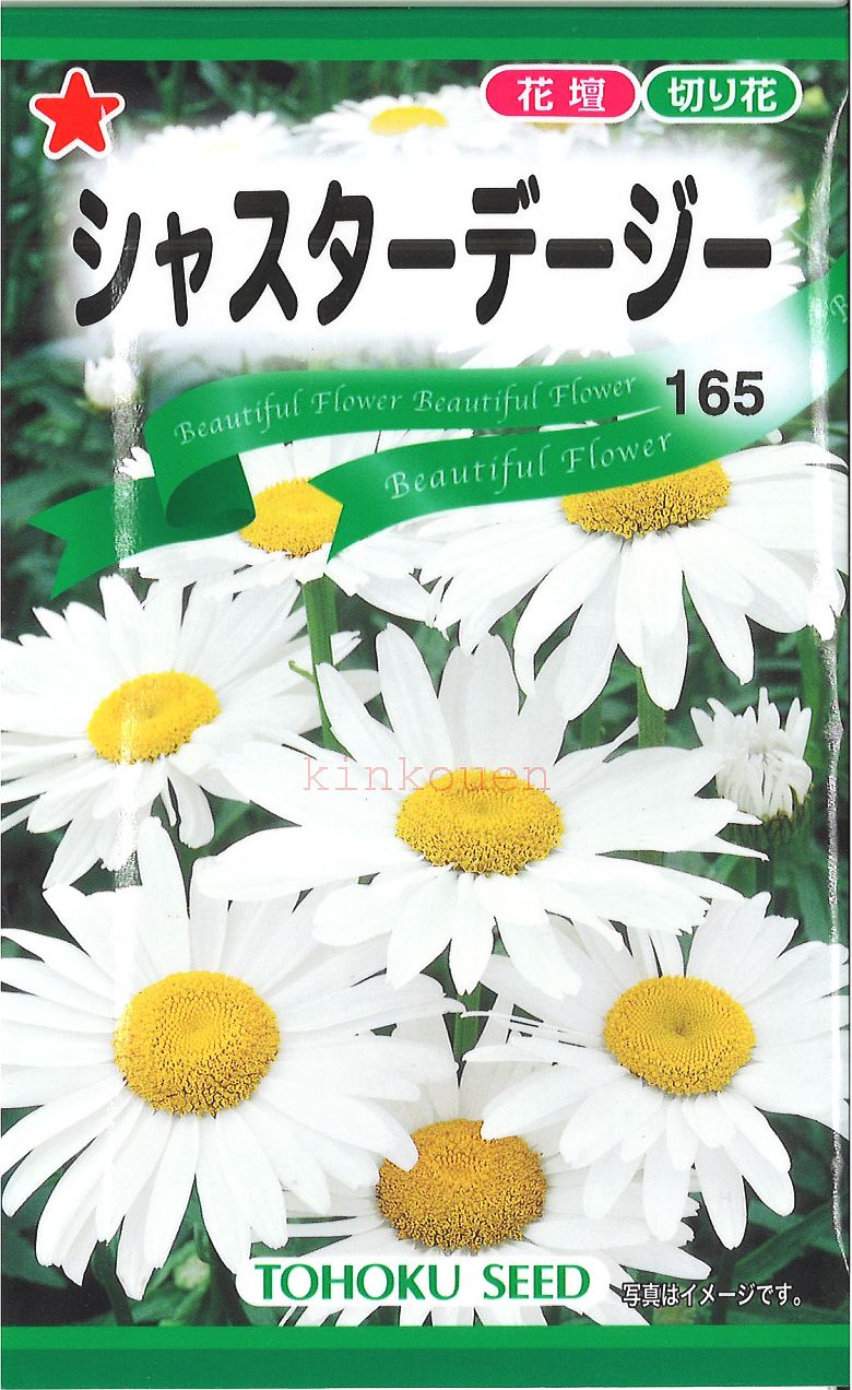 3-3-7代引不可送料5袋まで80円 ﾛﾍﾞﾘｱ  seed たね tane 種 種子 花の種 : 錦幸園 店