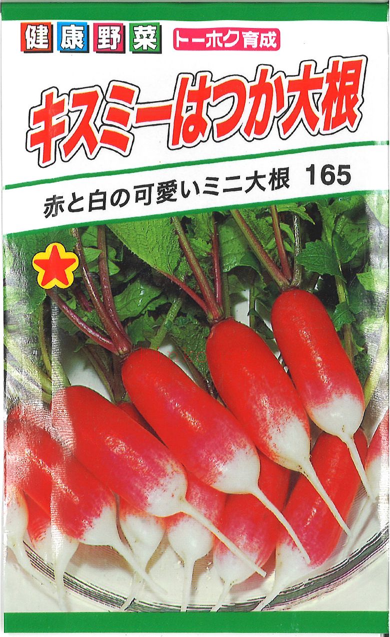 楽天市場】【代引不可】【送料5袋まで80円】◇ seed たね tane 種 種子