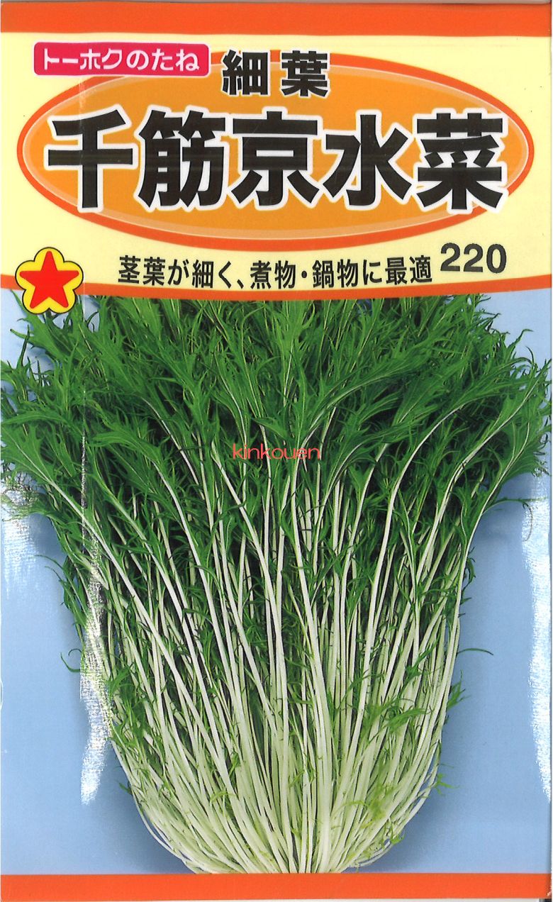 水菜 333000116000_1.jpg